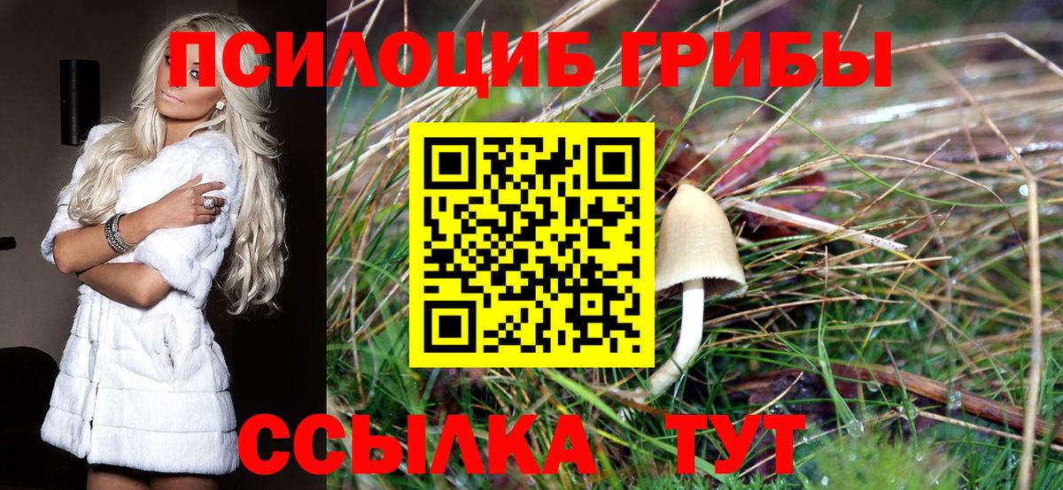 Долгопрудный  Псилоцибиновые грибы прущие грибы  Вход с VPN 